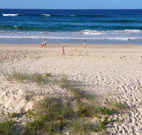 Palmy Sea Breeze