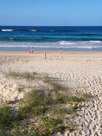 Palmy Sea Breeze