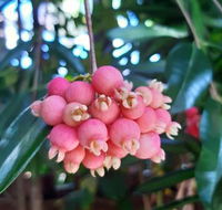 Paradise Travellers Rest - Accommodation Bookings