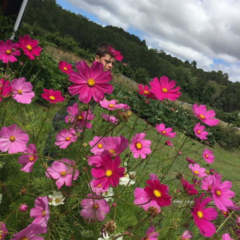 Pennyroyal Otways Retreat - Accommodation Bookings 3