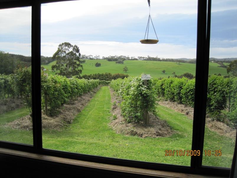 Murroon VIC Accommodation Bookings