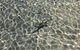 Peppermint Grove Beach Holiday Park - thumb 1