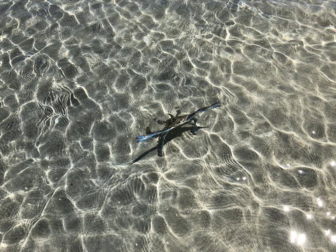 Peppermint Grove Beach Holiday Park - Accommodation Bookings 1