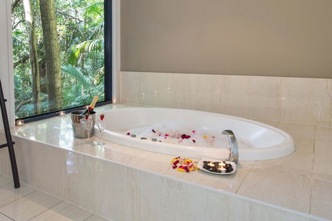 Pethers Rainforest Retreat - Accommodation Bookings 2