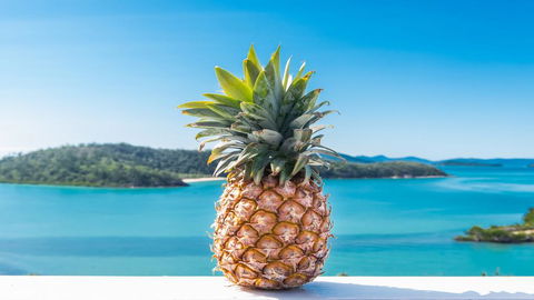 Pineapple House Whitsundays - Accommodation Bookings 0