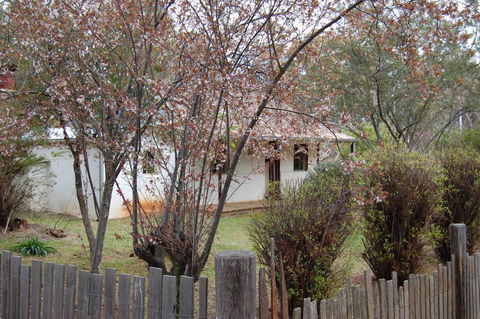 Pines Cottage - Accommodation Bookings 3