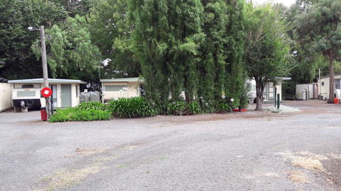 Pinewood Caravan Park - Accommodation Bookings 3
