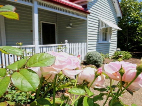 Poppy Cottage-delightful Pet Friendly Weatherboard - Accommodation Bookings 1