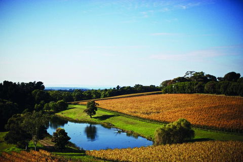 Port Phillip Estate - Accommodation Bookings 2