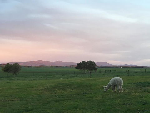 Promhills Cabins - Accommodation Bookings 3