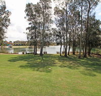 Ray of Sunshine - Waterfront Reserve