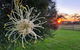 Redgate Forest Retreat - thumb 1