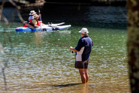 Reflections Holiday Parks Ferry Reserve - Accommodation Bookings 2