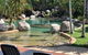Relax At Reef Resort - thumb 0