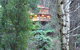 Risehill House - thumb 3