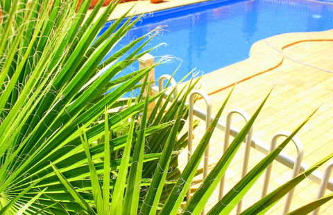 Roma Mid Town Motor Inn - Accommodation Bookings 2