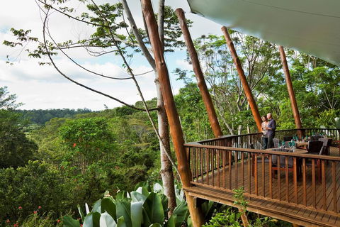 Rose Gums Wilderness Retreat - Accommodation Bookings 0