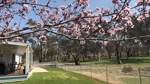 Rosewood Cottage - Accommodation Bookings 2