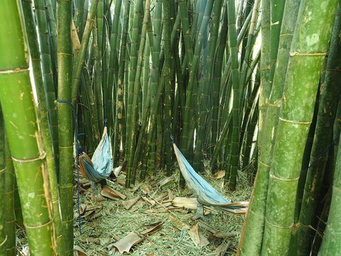 Runawaytomaleny - Accommodation Bookings 1