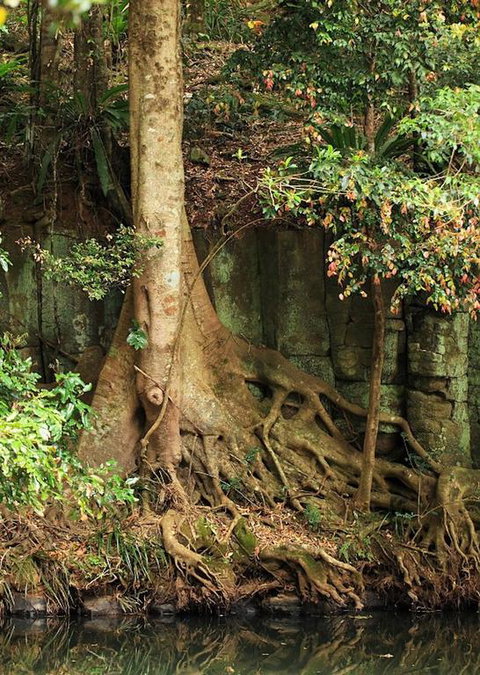 Runawaytomaleny - Accommodation Bookings 3