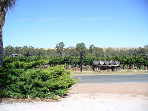 Salter Station. Blanchetown. South Australia - Accommodation Bookings 3