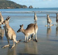 Seaforth Holiday Units - Accommodation Bookings