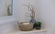 Seagrass House - Modern North Avoca Oasis - thumb 2