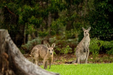 Secura Lifestyle Countryside Kalaru - Accommodation Bookings 0