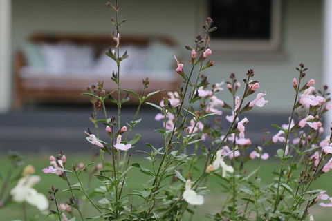 Serendipity On Allyn - Accommodation Bookings 0