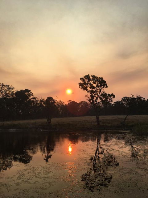 Serenity On Stanthorpe - Accommodation Bookings 2