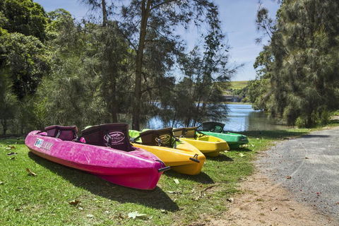 Seven Mile Beach Holiday Park - Accommodation Bookings 3