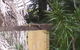 Shady Grove B&B - thumb 1