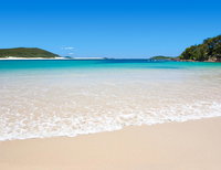 Shells on the Shore Holiday Accomm - Dolphins