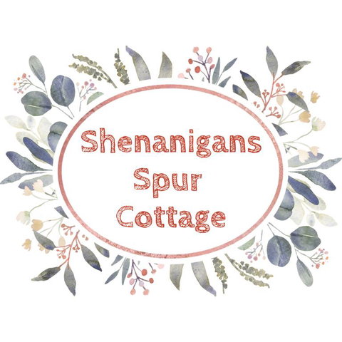 Shenanigans Spur Cottage - Accommodation Bookings 3