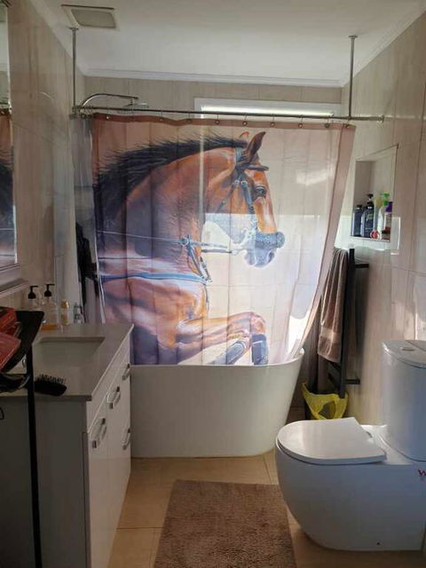 Silverbirch Cottage - Accommodation Bookings 3