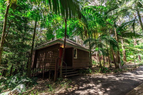 Songbirds Rainforest Retreat - Accommodation Bookings 2