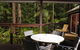 Songbirds Rainforest Retreat - thumb 1