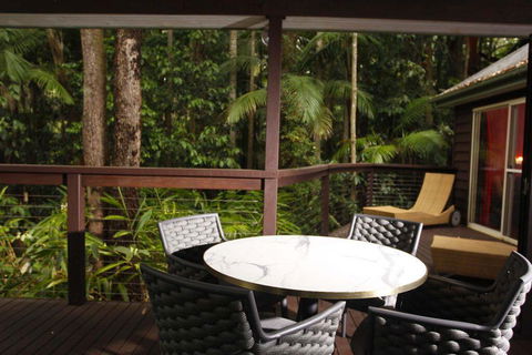 Songbirds Rainforest Retreat - Accommodation Bookings 1