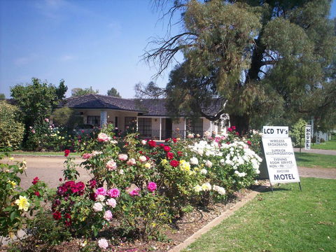 Southern Comfort Motor Inn - Accommodation Bookings 1