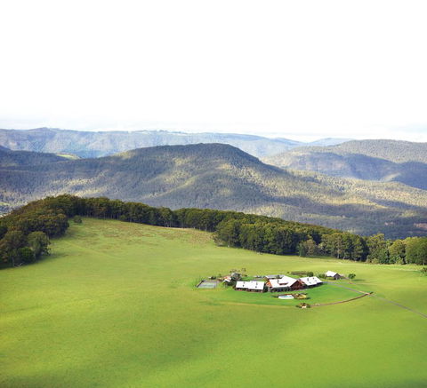 Spicers Peak Lodge - Accommodation Bookings 1