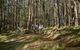 Spicers Peak Lodge - thumb 3