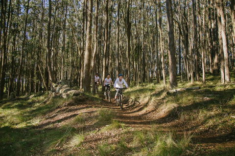 Spicers Peak Lodge - Accommodation Bookings 3