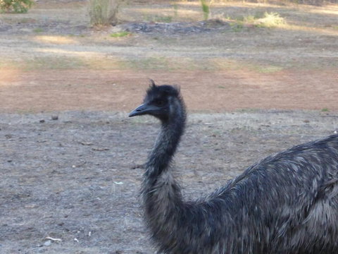 Splendid Wren Cottage - Accommodation Bookings 2