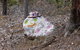 Splendid Wren Cottage - thumb 3