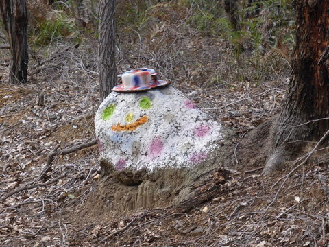 Splendid Wren Cottage - Accommodation Bookings 3