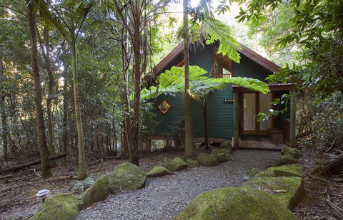 Springbrook Lyrebird Retreat - Accommodation Bookings 1