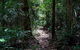 Springbrook Lyrebird Retreat - thumb 0