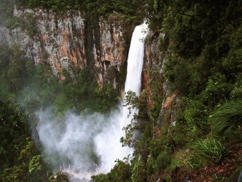 Springbrook Lyrebird Retreat - Accommodation Bookings 2