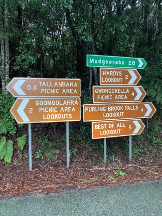 Springbrook Mountain Chalets - Accommodation Bookings 3