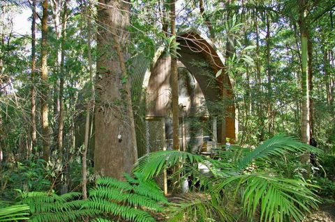 Springbrook Mountain Chalets - Accommodation Bookings 0